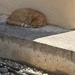 Дом отдыха 2 Bed House - Sleeps 4 - Pool - Garden - Parking Полис