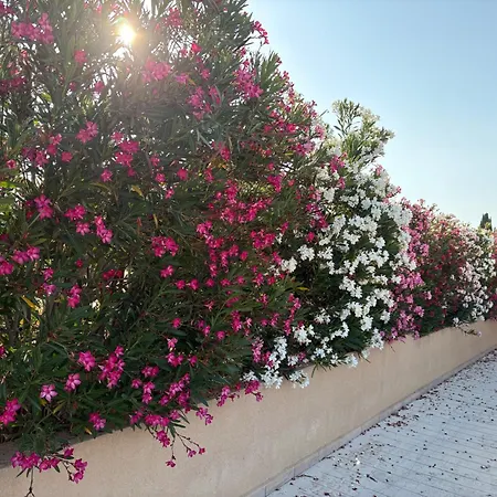 2 Bed House - Sleeps 4 - Pool - Garden - Parking *