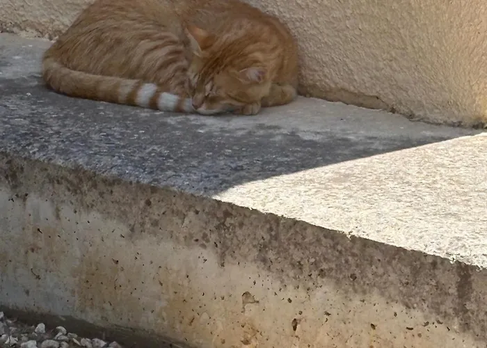 Dom wakacyjny 2 Bed House - Sleeps 4 - Pool - Garden - Parking Polis