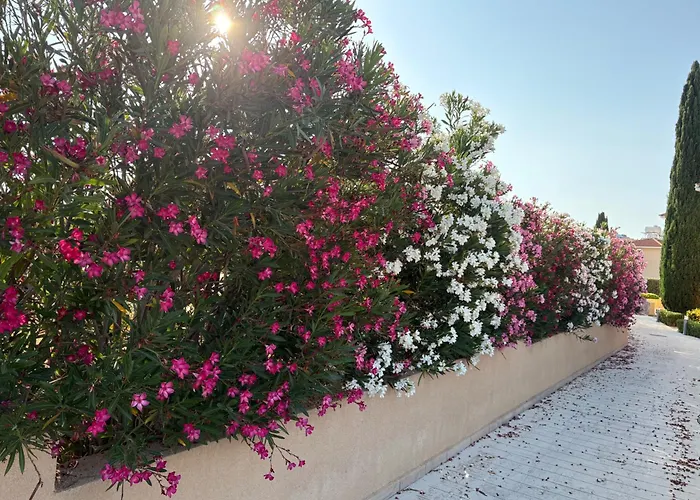 2 Bed House - Sleeps 4 - Pool - Garden - Parking *